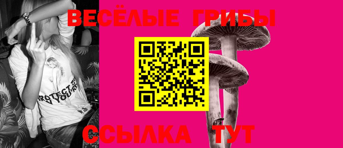 Галлюциногенные грибы Psilocybe  Галлюциногенные грибы Cubensis  Вход с VPN  Южноуральск 